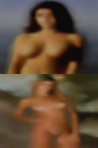 Female is bi-male is nude not.