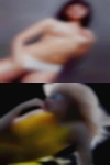 Cuckold women that want or just 1-1 to fuck sex.